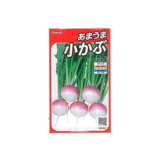 TJ^̃^l Ju  ߐ 珬