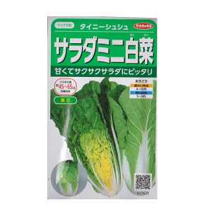 nNTC  ^Cj[VV 珬