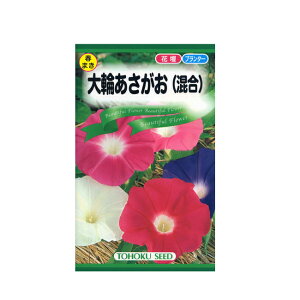 �g�[�z�N �Ԃ̎� ��ւ��������i�����j