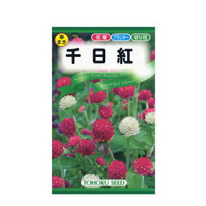 �g�[�z�N �Ԃ̎� ����g