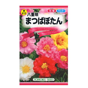 �g�[�z�N �Ԃ̎� ���d�� �܂΂ڂ���