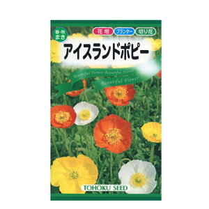 �g�[�z�N �Ԃ̎� �A�C�X�����h�|�s�[