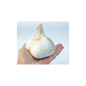   W{jjN 1kg