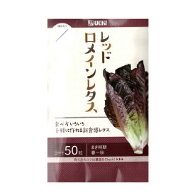 楽天市場 レタス コート 種の通販