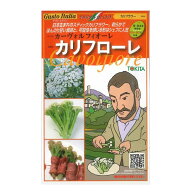 トキタ種苗 カリフラワー 種 カリフローレ80 コート1000粒