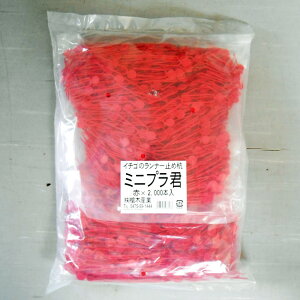 ؎YƁij  i[s@~jvN@[5cm@ԁ@2000{