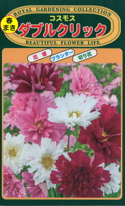 �Ԃ̎� �g�[�z�N �R�X���X �_�u���N���b�N