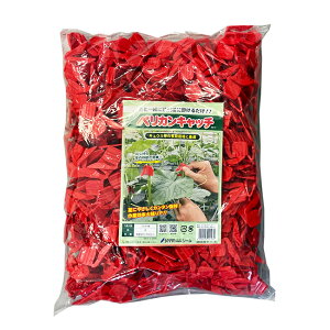 V[ yJLb` LEpUNbv 500Zbg