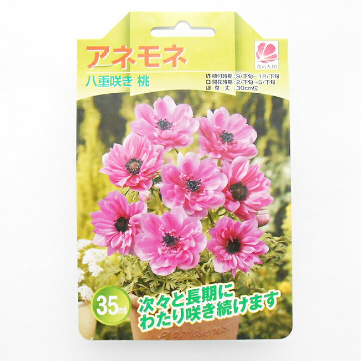 楽天市場 花の大和 アネモネ 球根 八重咲き 桃 35ｍｌ イケダグリーンセンター