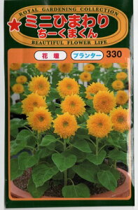 �g�[�z�N �Ԃ̎� �~�j�Ђ܂�� ���[���܂���i�����j