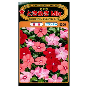 �g�[�z�N �Ԃ̎� �r���J �Ƃ��߂�Mix