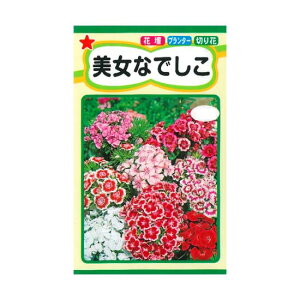 �Ԃ̎� �g�[�z�N �����Ȃł���