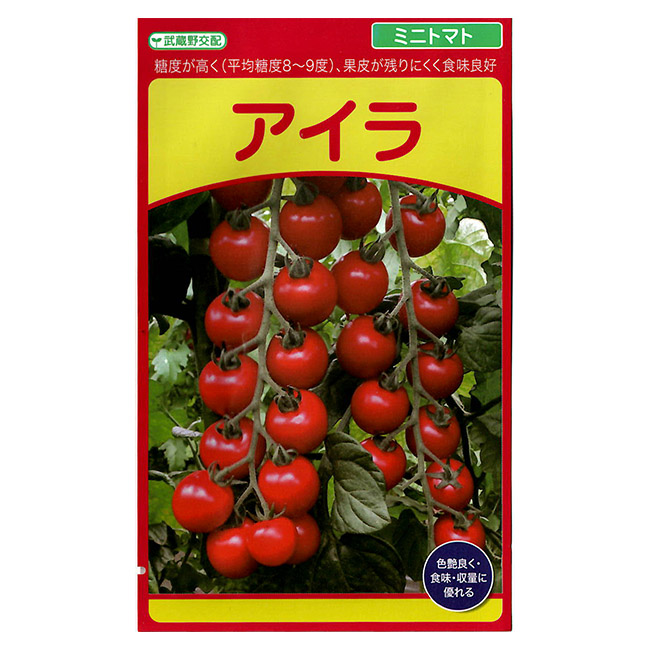 中玉トマト 種 100粒 野菜 野菜種子 野菜種