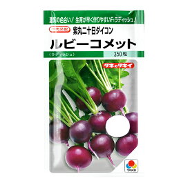 タキイ種苗 ハツカダイコン 種 ルビーコメット GF(小袋）