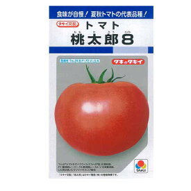 タキイ種苗 トマト 種 桃太郎8 DF（小袋）