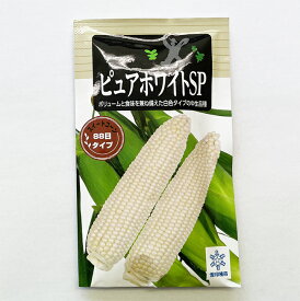 雪印種苗 とうもろこし 種 ピュアホワイトSP 約180粒