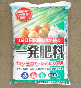 ꔭ엿 ˂Eʂ˂Eɂɂp엿 10kg