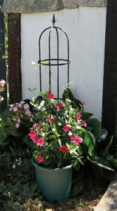 rj[ IxXN X[IxXN 120cm