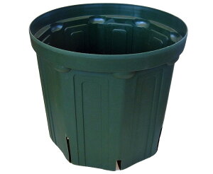 Xbg CSM-60 2 XO[ 100Zbg