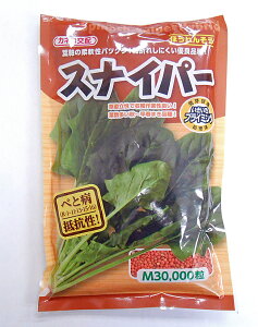 JlRc zE\E  XiCp[ MTCY 3