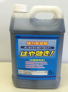 VZC ͂  5L 4{Zbg