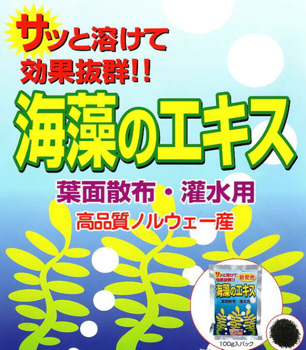 楽天市場】【送料無料】葉面散布・灌水用 肥料 海藻のエキス 100g : イケダグリーンセンター 楽天市場】【送料無料】葉面散布・灌水用 肥料 海藻のエキス 100g : イケダグリーンセンター