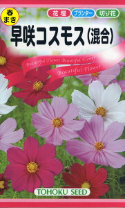 �Ԃ̎� �g�[�z�N ���� �R�X���X(�����j