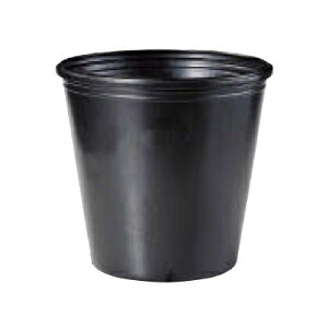 ||bg TO||bg ۃ^Cv 24cm ߂|bg 5Zbg