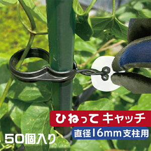 rj[ Ђ˂ăLb` 16xp 50