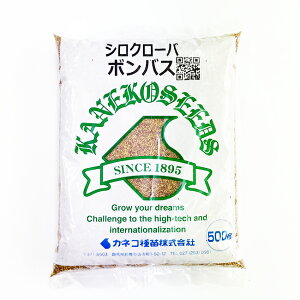 JlRc N[o[ {oX 500g