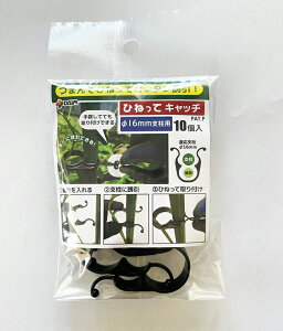 rj[ Ђ˂ăLb` 16xp 10