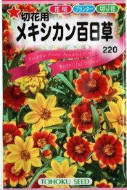 トーホク 花の種 切花用 メキシカン百日草