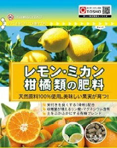  엿 E~J kނ̔엿 500g