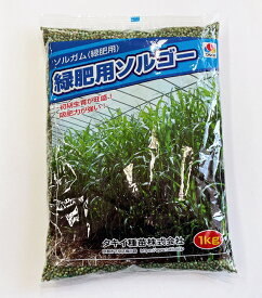 タキイ種苗 緑肥用ソルゴー 1kg