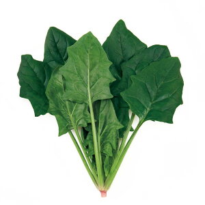 TJ^̃^l ق q X[p[Z[u PRIMAX M3