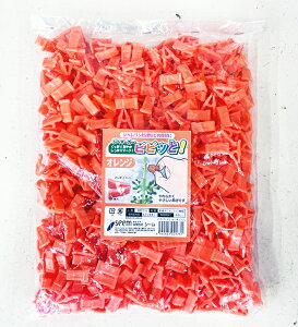 V[ Wx}[J[ rrbƁI IW 500