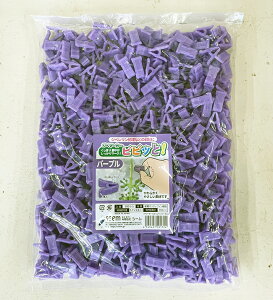 V[ Wx}[J[ rrbƁI p[v 500