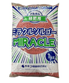 緑肥 ソルガム（ソルゴー） ミラクルソルゴー 1kg カネコ種苗