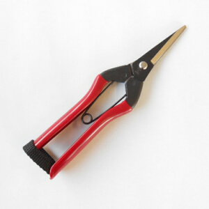 ���،� �E���� �ԑ�