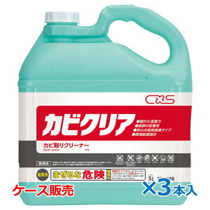 CXS V[oCGX JrNA 5L×3{ Ɩp Jr