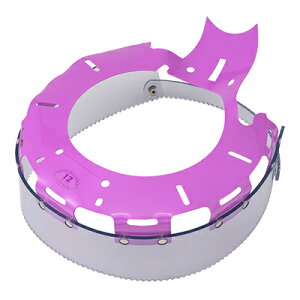  VsOnbgRXX \tg^Cv 12C` Ɩp |bV[pi