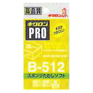 LN LNv X|W킵\tg CG[ B512 Ɩp X|W