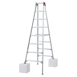 J pLkr@RYZ-24c 8i Ɩp ͂ r ysz