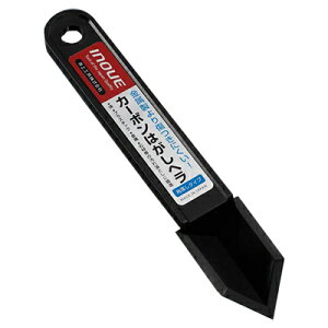 H J[{͂w pƂ^Cv 17049 Ɩp |pi