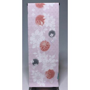 ViVi�i�r�r�j�@�䂩���n�@�����@ ���{�� 5-127