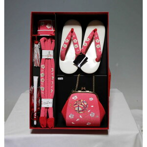 ܎O@͂Zbg@TCY21cm@ɏi@201