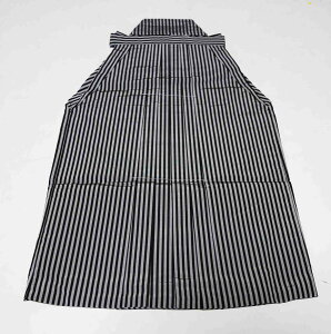 ܎O@с@Pi @{@܍΁@j̎q@󂠂T5004