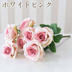 yN[|zzubNtCf[SALEz RR   t[AWg AeB[N  ԑ KN A[gt[ [Y sN p[v zCg zCgsN [s