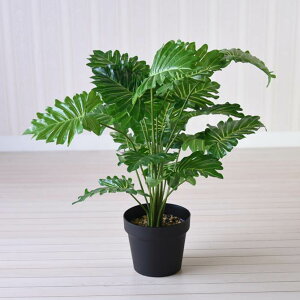 y12/1_9:59܂ŁubNtCf[N[|z lHϗtA  CObVK[f qgfJY  ^ tFCNO[ CeA  [sA CeAG  