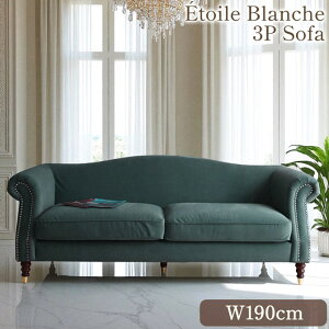 yN[|zzubNtCf[SALEz AƋ \t@ 3l| Gg[uV 190cm ~XeBbNO[ AeB[N t` NVbN  xxbg A[fR